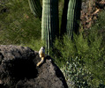 photo thumbnail #14