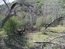 photo thumbnail #4