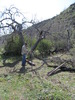photo thumbnail #6