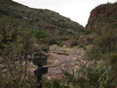 photo thumbnail #3