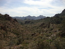 photo thumbnail #4