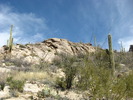 photo thumbnail #5