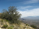 photo thumbnail #13
