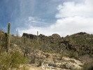 photo thumbnail #6