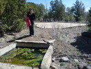 photo thumbnail #1