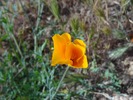 photo thumbnail #15