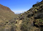 photo thumbnail #7