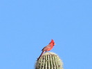 photo thumbnail #13