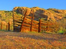 photo thumbnail #7