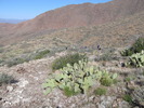 photo thumbnail #2
