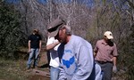 photo thumbnail #5