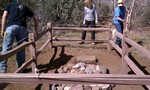 photo thumbnail #7