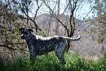photo thumbnail #4