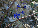 photo thumbnail #2