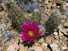 photo thumbnail #7