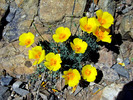 photo thumbnail #11