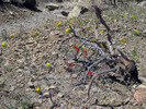 photo thumbnail #14