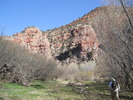 photo thumbnail #15