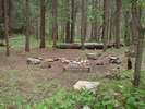 photo thumbnail #4