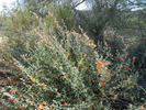 photo thumbnail #15