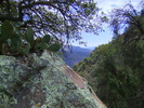 photo thumbnail #12