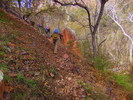 photo thumbnail #1