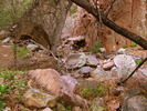 photo thumbnail #3