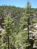 photo thumbnail #11