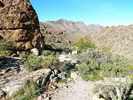 photo thumbnail #5