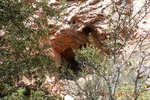 photo thumbnail #15