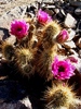 photo thumbnail #10