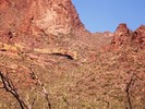 photo thumbnail #13