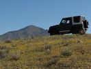 photo thumbnail #12