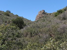 photo thumbnail #11