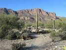 photo thumbnail #2
