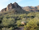 photo thumbnail #6