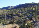photo thumbnail #2