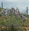 photo thumbnail #6
