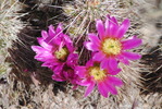 photo thumbnail #8