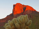 photo thumbnail #4