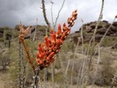 photo thumbnail #7