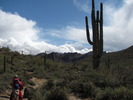 photo thumbnail #7