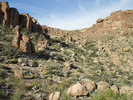 photo thumbnail #8