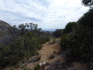 photo thumbnail #12