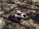 photo thumbnail #11