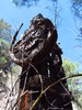 photo thumbnail #14
