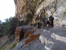 photo thumbnail #12