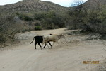 photo thumbnail #1