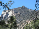 photo thumbnail #1