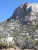 photo thumbnail #3